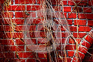 Old wall of granite blocks