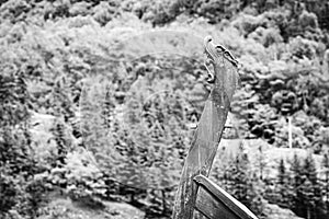 Part of old wooden viking boat in norwegian nature