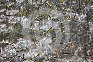 Part of patterned concrete pavement