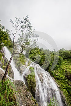 Part of Pitugro WaterfallPetro Lo Su or Heart Waterfall,the highest waterfall in Thailand,located in Umphang Wildlife Sanctuary,