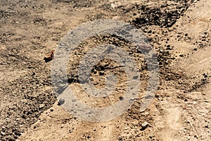 Part of the road under construction with tire tracks