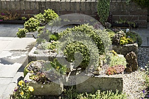 Part of a rock garden