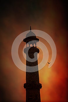 Part of Roof Top of Taj Mahal