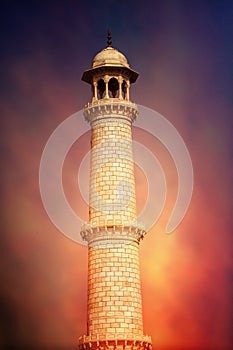 Part of Roof Top of Taj Mahal