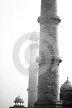 Part of Roof Top of Taj Mahal