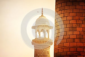 Part of Roof Top of Taj Mahal