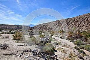 Fault Zone at Thousand Palms