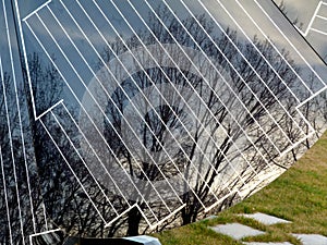 Part of Solar Panel with Tree Reflecting