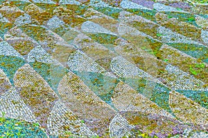 Part of the surviving ancient Roman mosaic floors at the ancient roman Baths of Caracalla (Thermae Antoninianae) photo