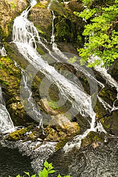 Part of the Swallow Falls, waterfalls in North Wales