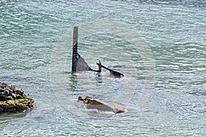 Part of the Una shipwreck is visible at Stony Point