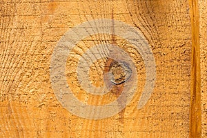 Part of uncolored rough wooden fence with oval shape knot. Textured. photo