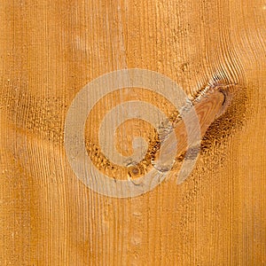 Part of uncolored rough wooden plank with knots. Textured. photo