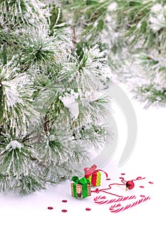 Part view of snow-covered fir tree in a winter forest with small gift boxes and Christmas decor elements in green and red colors