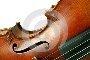 Part of violin