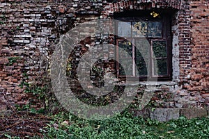 Part of the wall of an abandoned red brick house with a window. Trees grow inside.