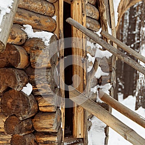 Part of wall of wooden house is made of logs as background. Pine trunk texture