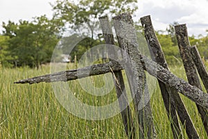 Part of a weathered wooden fence