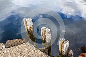 Part of the Wharf in the harbor Seydisfjordur