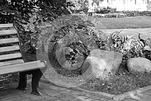 Part of a wooden bench near a flower bed with flowers and stones on a Sunny summer day in a city Park, black and white photo