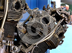 Part of wrecked aircraft radial engine.