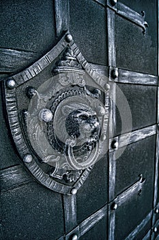 Part of the wrought-iron gate with the emblem of the black panther, a frosty morning in dark tones