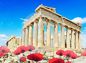 Parthenon athens greece sping season red poppies