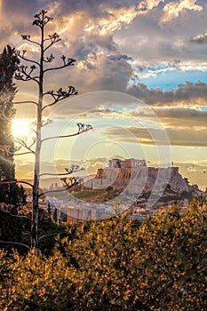 Parthenon temple on the Acropolis against colorful sunset in Athens, Greece