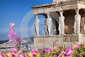 Parthenon temple during spring time on the Athenian Acropolis, Greece