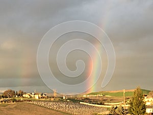 Partial Double Rainbow with green grass and young vineyard - Paso Robles, California photo