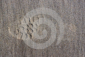 Partial imprint of the sole of a shoe in the wet brown sand of the beach