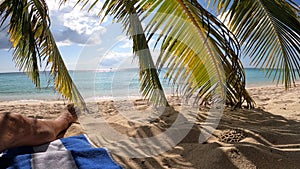 Partial leg view of a man lying in the sand under a palm tree