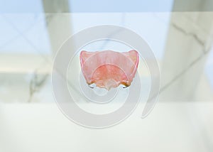 Partial plate denture