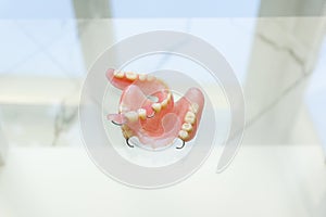 Partial plate denture