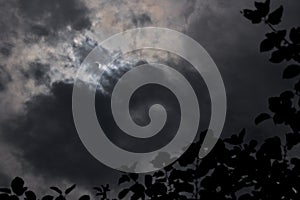 Partial Solar Eclipse through Dark Clouds with Tree Silhouette