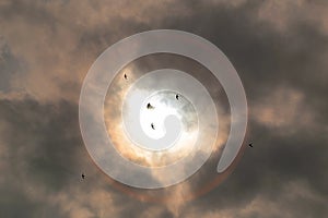 Partial solar eclipse