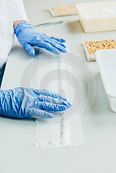 partial view of biologist in latex gloves working at table with seeds in agro