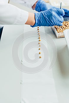 partial view of biologist putting seeds in row by tweezers at table in agro