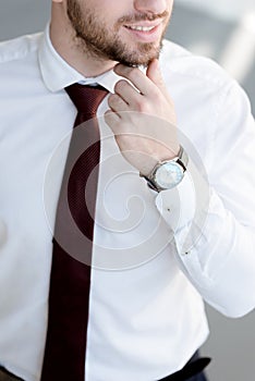 partial view of businessman in tie and watch