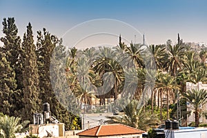 Partial view of the city of Jericho in the Jordan Valley. Palestinian West Bank