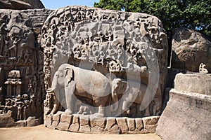 Partial view of the Descent of the Ganges or Arjuna`s Penance, Mahabalipuram, Tamil Nadu, India