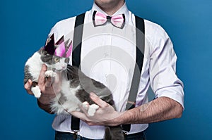 partial view of man in pink shirt with rolled up sleeves and bow tie holding cute gray and white cat in pink shiny crown