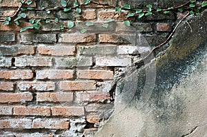 Partially exposed brickwork with plaster and creep