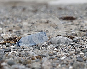 Plastic water bottle on a beach