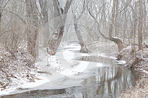 Partially frozen stream runs through woods in snowstorm