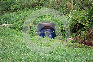 Partially rusted blue metal oil barrel dumped in nature between uncut grass and dense forest vegetation
