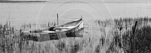 Partially Sunken Skiff In Marsh BW photo