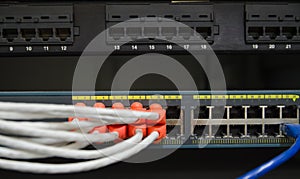 Partially view of LAN network switch with Ethernet cables plugg