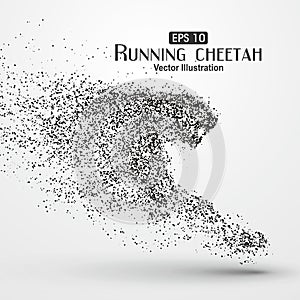 Particle cheetah,particle divergent composition.