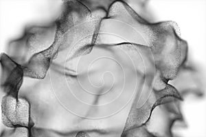 Particles moving on white background, 3d rendering